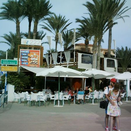 La Rosaleda Apartamento Torrevieja Exterior foto